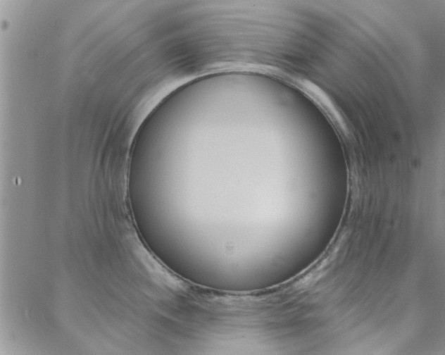 X0000088911244200706080817