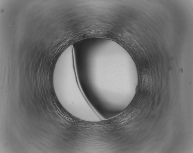 X0000088911250200706080817