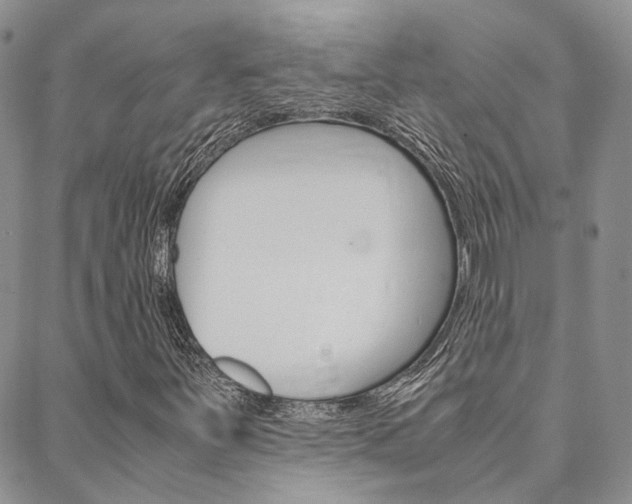 X0000088911251200706080817