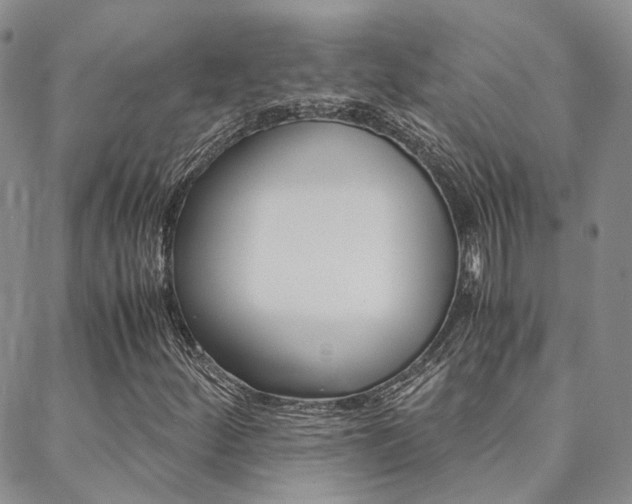 X0000088911252200706080817