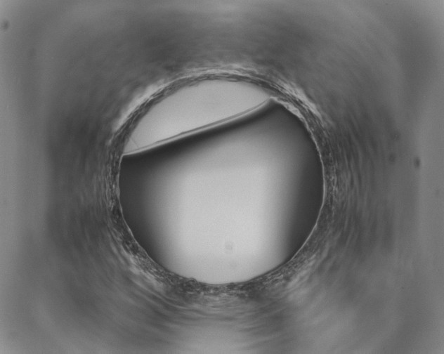 X0000088911256200706080817