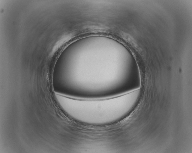 X0000088911261200706080816