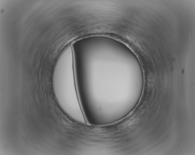 X0000088911265200706080816