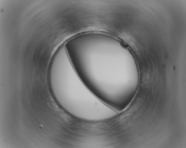 X0000088911268200706080816