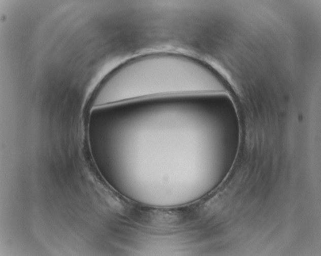 X0000088911270200706080816