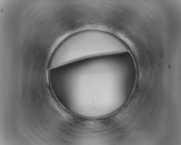 X0000088911272200706080816