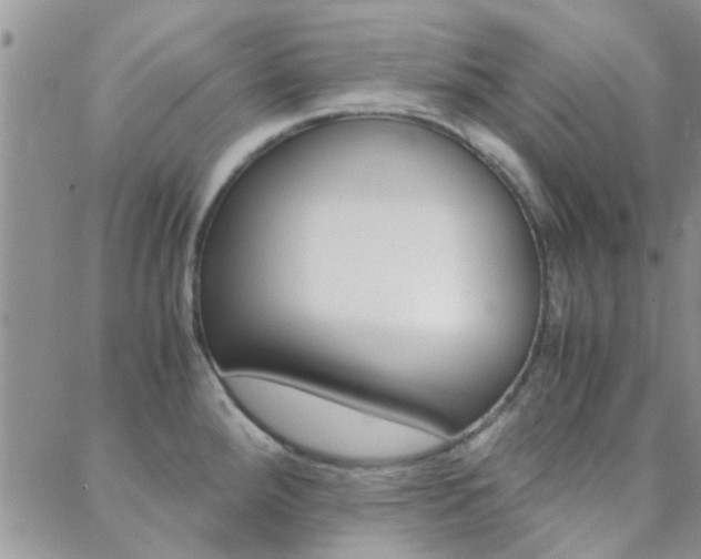 X0000088911288200706080816