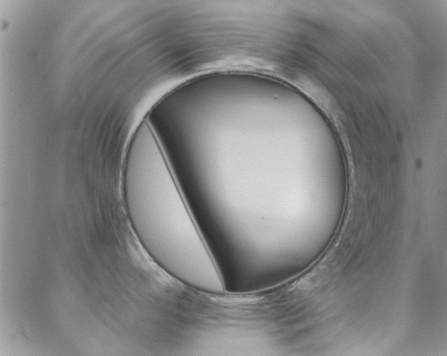 X0000088911296200706080816