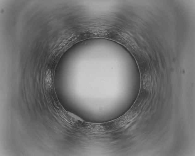 X0000088911298200706080815