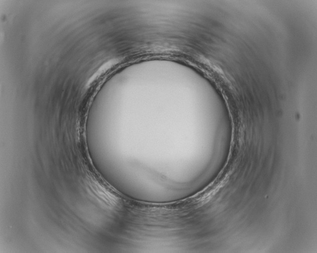 X0000088911306200706080815