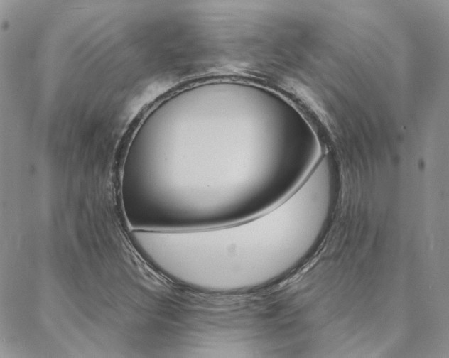 X0000088911308200706080815
