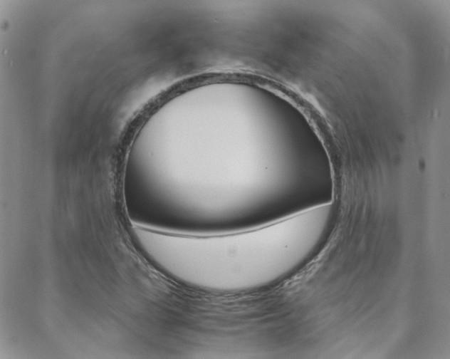 X0000088911311200706080815