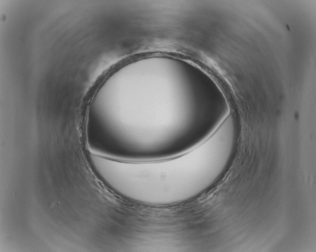 X0000088911312200706080815