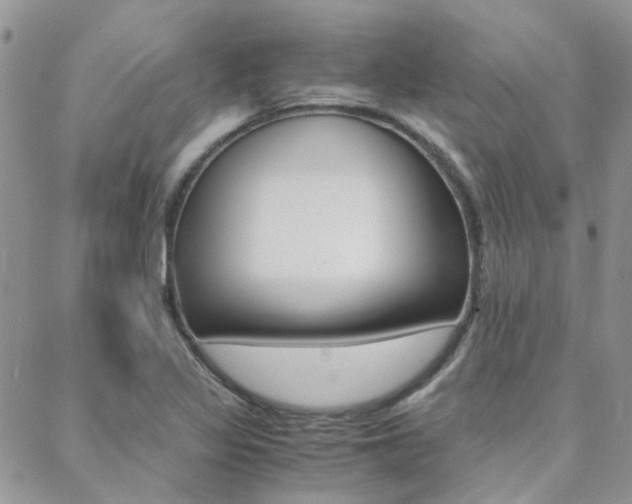 X0000088911317200706080815