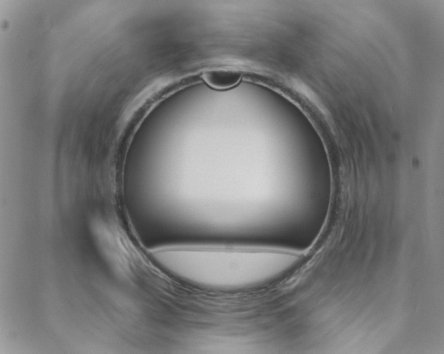 X0000088911318200706080815