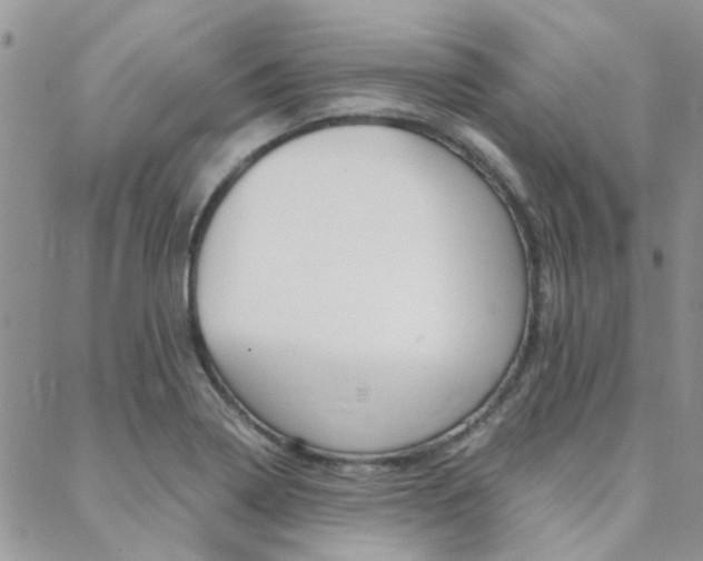 X0000088911322200706080816
