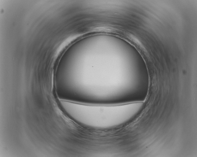 X0000088911323200706080816