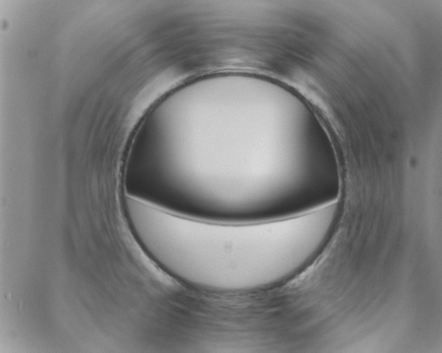 X0000088911333200706080816