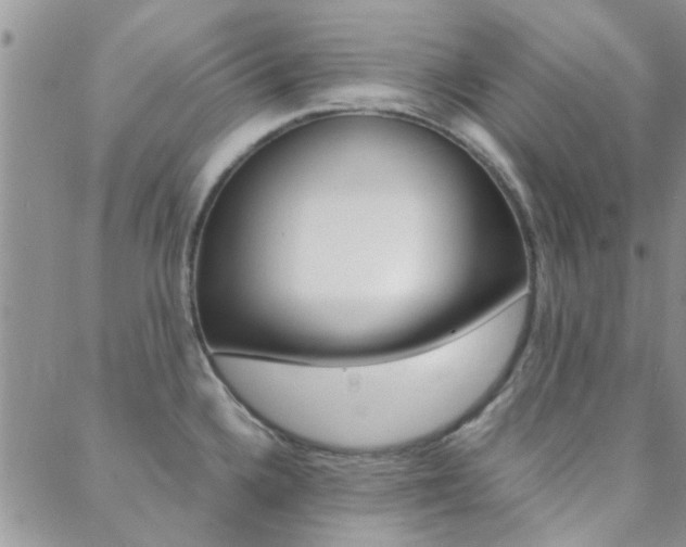 X0000088911336200706080816