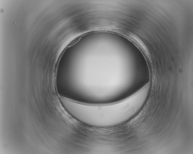 X0000088911340200706080816
