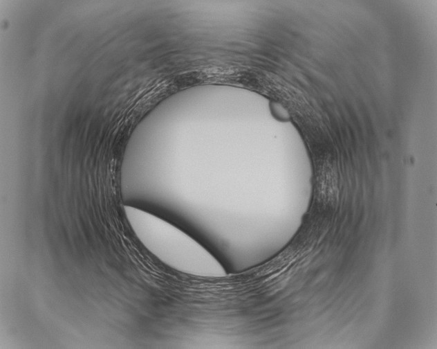X0000088911346200706080815