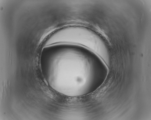 X0000088911352200706080815