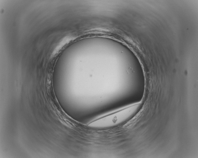 X0000088911355200706080815