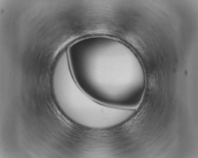 X0000088911356200706080815