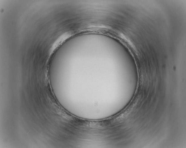 X0000088911362200706080815