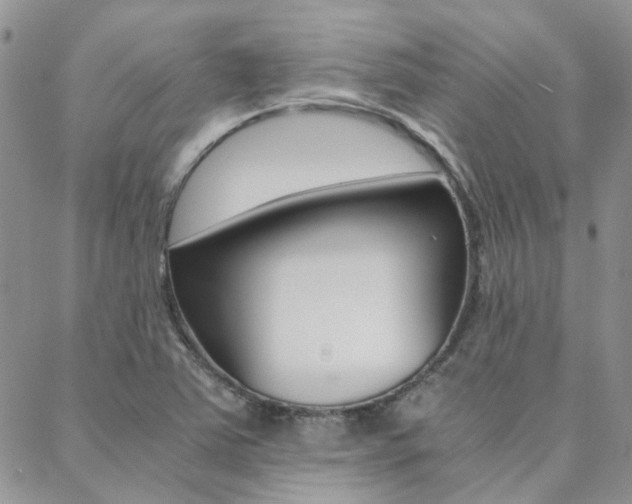 X0000088911363200706080815