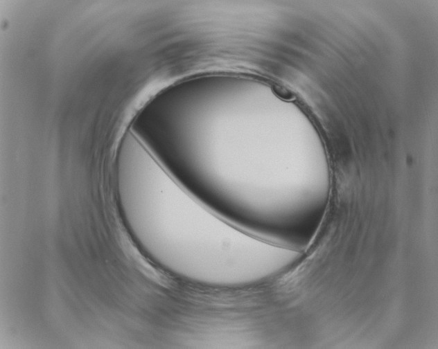 X0000088911371200706080815