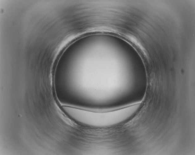 X0000088911372200706080815