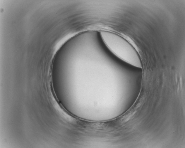 X0000088911387200706080814