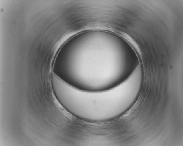 X0000088911388200706080814