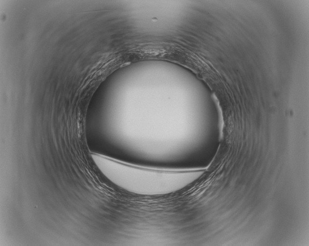 X0000088911394200706080814