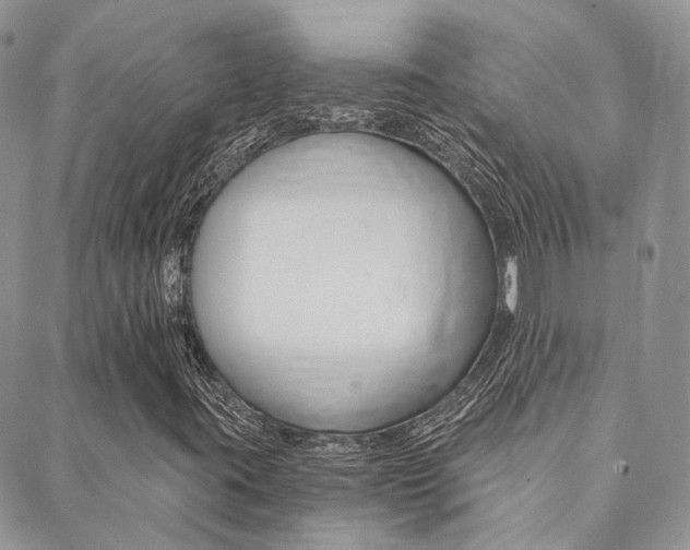 X0000088911395200706080814