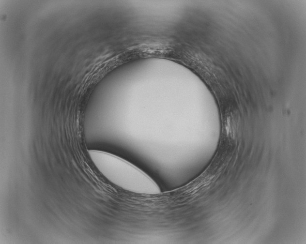 X0000088911396200706080814