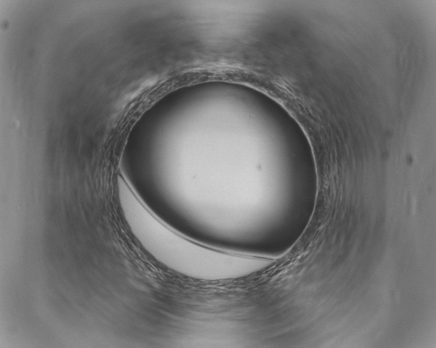 X0000088911398200706080814