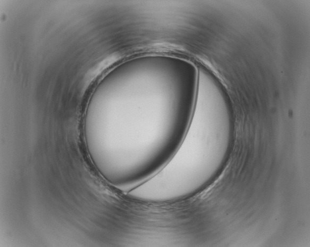 X0000088911410200706080814