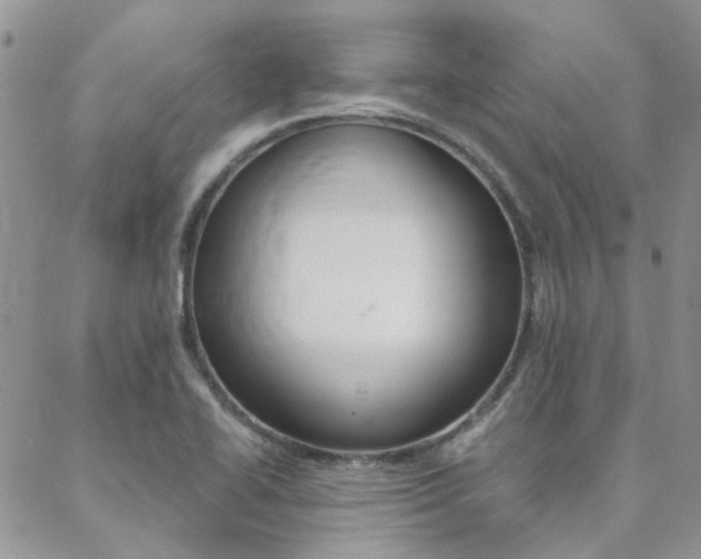 X0000088911414200706080814