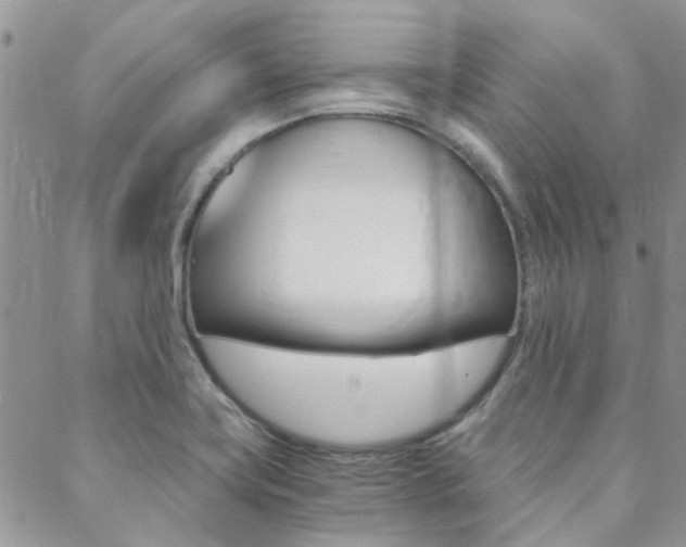 X0000088911419200706080814