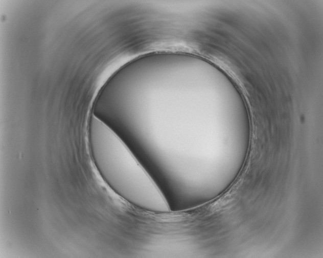 X0000088911440200706080814