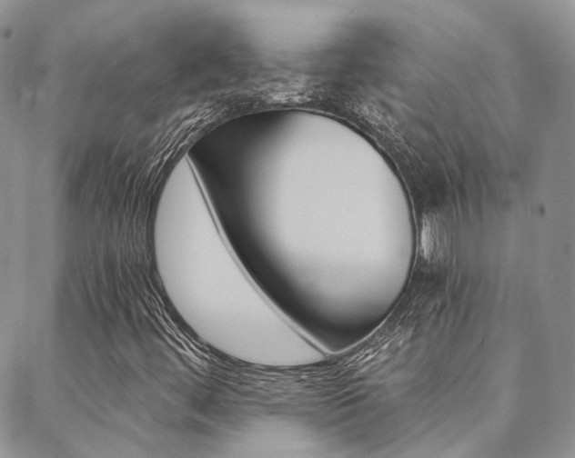 X0000088911444200706080813
