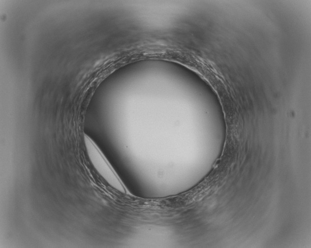 X0000088911445200706080813