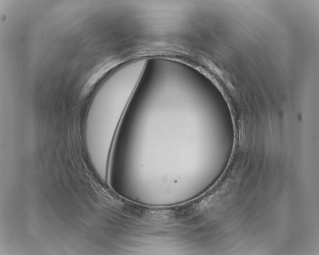 X0000088911453200706080813