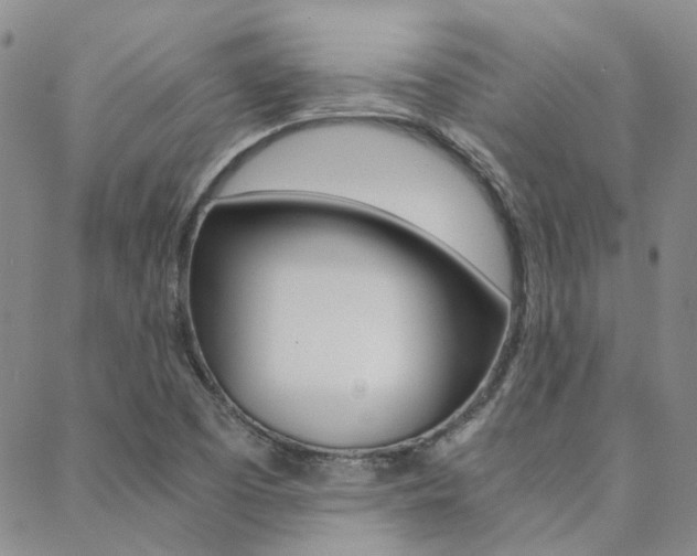 X0000088911457200706080813