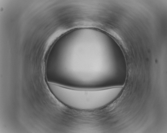 X0000088911472200706080813