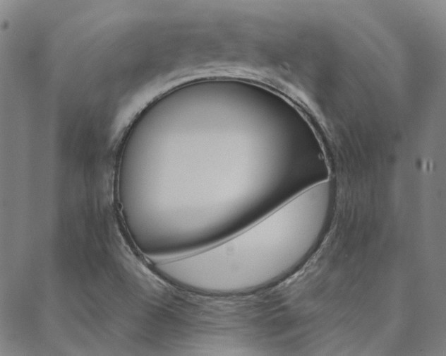 X0000088911504200706080812