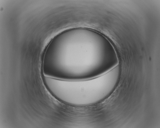 X0000088911508200706080812
