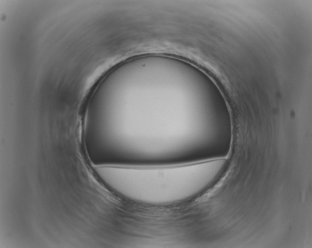 X0000088911509200706080812